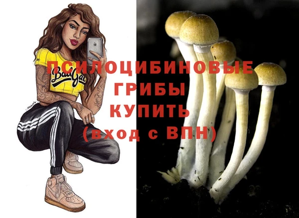 jwh Краснослободск