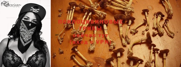 jwh Краснослободск