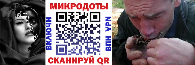 Псилоцибиновые грибы мицелий  цена   Суджа 